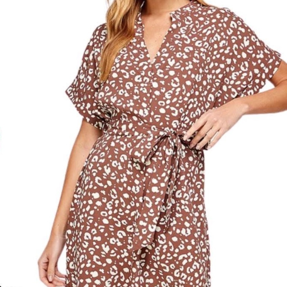 Leopard Print Dress